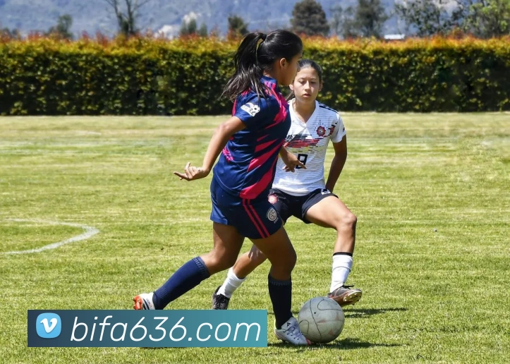 奖项证书